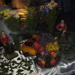 484097_178901892226837_100003210821224_271077_1622035359_n