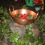 488177_178901978893495_100003210821224_271079_2142409984_n